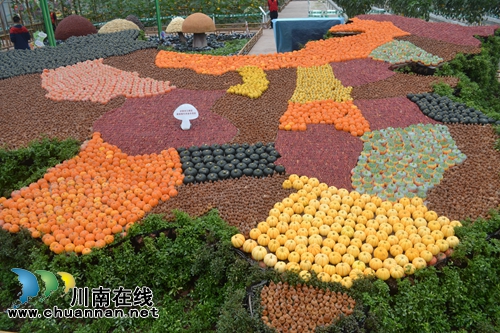 四川(泸州)第二届江之阳蔬菜品赏会盛大开幕(图18) 四川(泸州)第二届江之阳蔬菜品赏会盛大开幕(图18)