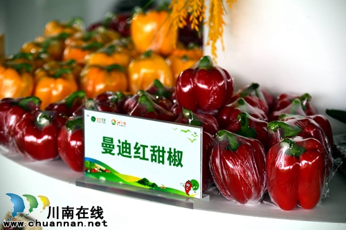 四川(泸州)第二届江之阳蔬菜品赏会盛大开幕(图28) 四川(泸州)第二届江之阳蔬菜品赏会盛大开幕(图28)