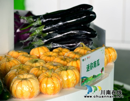 四川(泸州)第二届江之阳蔬菜品赏会盛大开幕(图29) 四川(泸州)第二届江之阳蔬菜品赏会盛大开幕(图29)
