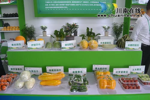 四川(泸州)第二届江之阳蔬菜品赏会盛大开幕(图31) 四川(泸州)第二届江之阳蔬菜品赏会盛大开幕(图31)