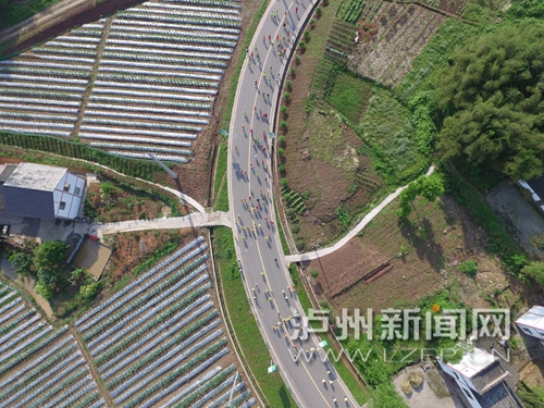 泸州首届蔬菜马拉松今日开跑 上演精彩动画电影(图6) 泸州首届蔬菜马拉松今日开跑 上演精彩动画电影(图6)