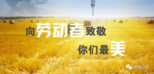 泸州公交史上“最强劳模”&nbsp;默默工作近2000天(图1)