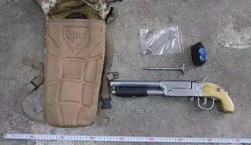 泸州警方破门抓捕毒枭 查获大量毒品和枪支(图6) 泸州警方破门抓捕毒枭 查获大量毒品和枪支(图6)