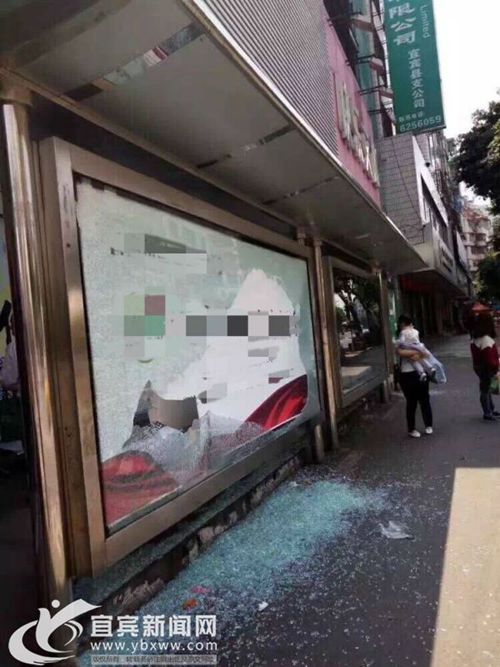宜宾20多个公交站台橱窗被毁 肇事者有精神病(图1) 宜宾20多个公交站台橱窗被毁 肇事者有精神病(图1)