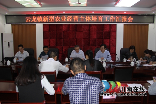 泸县政协副主席杜开卷率队调研云龙镇新型农业经营主体培育工作(图3) 泸县政协副主席杜开卷率队调研云龙镇新型农业经营主体培育工作(图3)