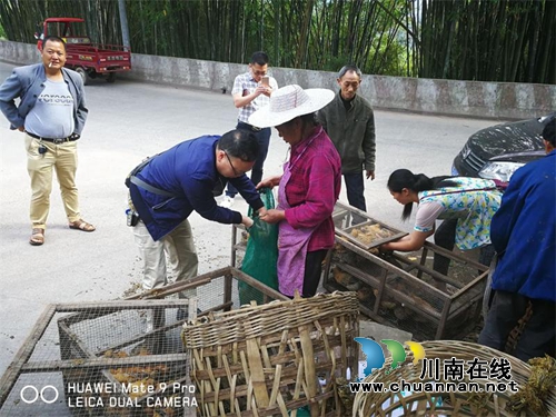 纳溪区人民医院精准扶贫“送鸡苗”(图3) 纳溪区人民医院精准扶贫“送鸡苗”(图3)