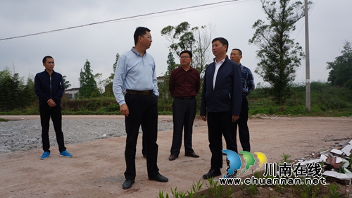 杨双全率第七组团督导组到泸县立石镇督导基金项目建设(图1)