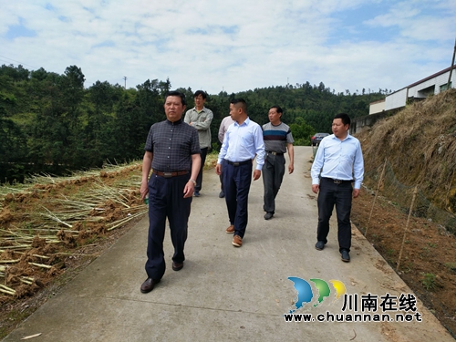 北京客商到泸县石桥镇考察生态农业种植项目(图3) 北京客商到泸县石桥镇考察生态农业种植项目(图3)
