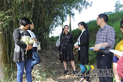 泸县副县长余静率队到云龙镇调研河道治理暨河长制度落实情况(图1) 泸县副县长余静率队到云龙镇调研河道治理暨河长制度落实情况(图1)