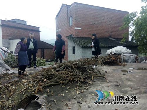 合江白鹿镇：开展大农业安全暗访检查(图1)