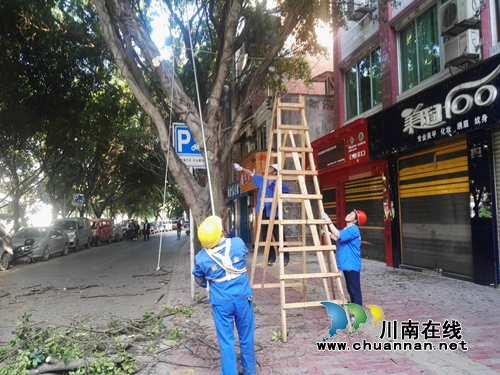 古蔺县住建局组织人员开展城区绿化树木修剪工作(图2) 古蔺县住建局组织人员开展城区绿化树木修剪工作(图2)