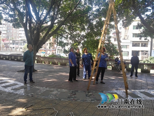 古蔺县住建局组织人员开展城区绿化树木修剪工作(图3) 古蔺县住建局组织人员开展城区绿化树木修剪工作(图3)