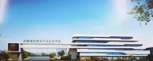 泸州长开区：今年重点项目52个总投资500多亿(图5)