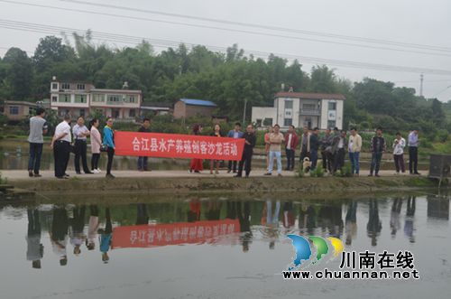 合江县水产养殖创客沙龙活动受欢迎(图1)