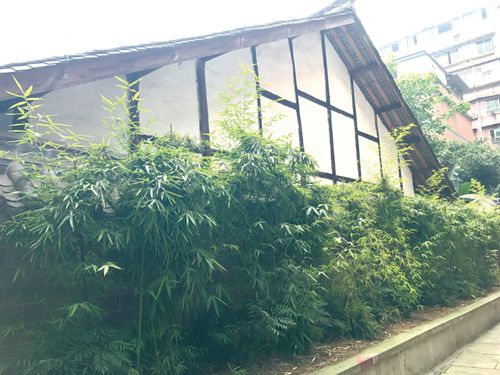 酒城古小市&nbsp;&nbsp;泸州“新天地”(图7)