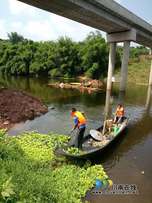 龙马潭区特兴镇清理辖区河面漂浮物、水葫芦(图3) 龙马潭区特兴镇清理辖区河面漂浮物、水葫芦(图3)