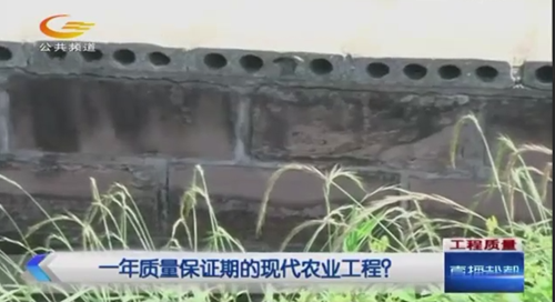 自贡:富顺县某现代农业工程沦为豆腐渣工程(图4) 自贡:富顺县某现代农业工程沦为豆腐渣工程(图4)