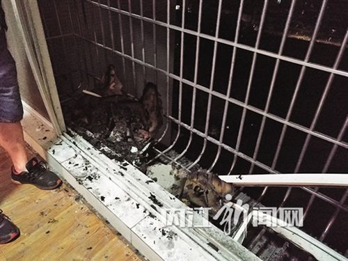 内江一小区起火 消防通道被堵消防员徒步灭火(图1) 内江一小区起火 消防通道被堵消防员徒步灭火(图1)