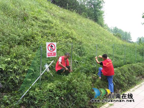 红星街道：安装违网&nbsp;呼吁市民停止走“小路”(图1)