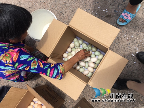 合江：微信圈打开新销路&nbsp;土鸡蛋“卖疯了”！(图2)