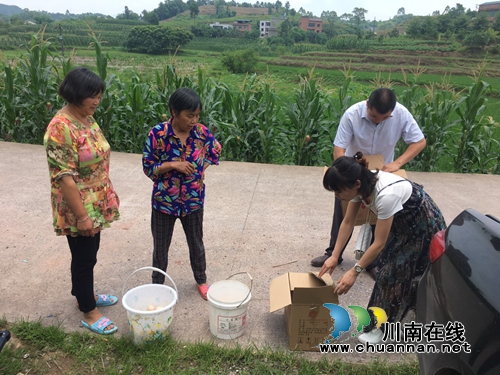 合江：微信圈打开新销路&nbsp;土鸡蛋“卖疯了”！(图5)