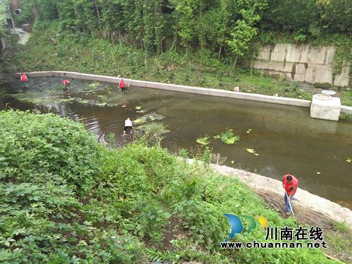龙马潭红星街道:清理玉带河垃圾为创文添力(图1) 龙马潭红星街道:清理玉带河垃圾为创文添力(图1)