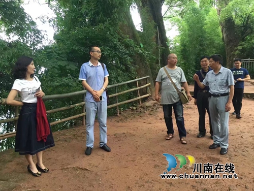 知名作家荔城采风 打造合江对外宣传新名片(图9) 知名作家荔城采风 打造合江对外宣传新名片(图9)