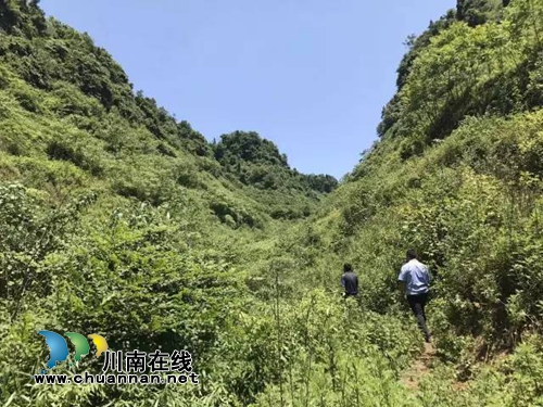 古蔺老人山沟迷失&nbsp;民警搜救半小时助其脱险