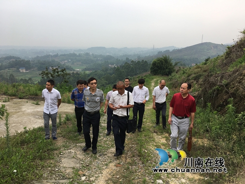四川中医科学院调研泸县中药材分布及种植情况(图2) 四川中医科学院调研泸县中药材分布及种植情况(图2)