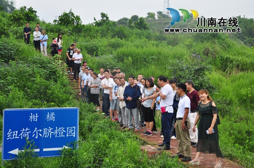 泸县召开新型农业经营主体规范化管理与经营业务培训会(图3) 泸县召开新型农业经营主体规范化管理与经营业务培训会(图3)