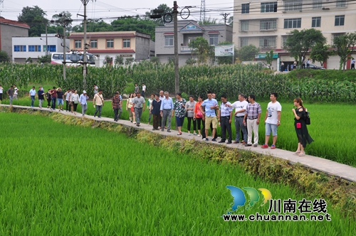 泸县召开新型农业经营主体规范化管理与经营业务培训会