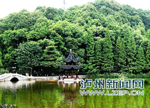 投入1000万 主城区新建改造一批重点精品公园(图1) 绿意盎然的泸州忠山公园。记者 牟科 摄