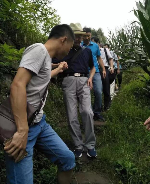 大泸州宋朝是中心!皇帝御笔下诏“西南要会”(图38) 大泸州宋朝是中心!皇帝御笔下诏“西南要会”(图38)
