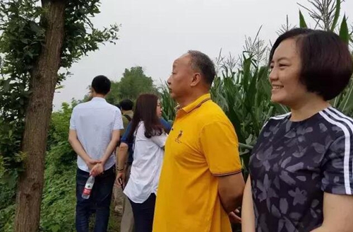 大泸州宋朝是中心!皇帝御笔下诏“西南要会”(图39) 大泸州宋朝是中心!皇帝御笔下诏“西南要会”(图39)
