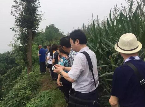 大泸州宋朝是中心!皇帝御笔下诏“西南要会”(图40) 大泸州宋朝是中心!皇帝御笔下诏“西南要会”(图40)