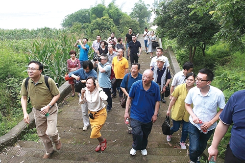 泸州宋城文化研究开题会召开(图24)