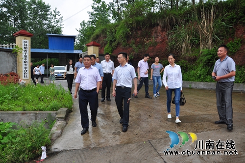 省农业厅检查泸县国家级水稻制种生产基地建设(图2)