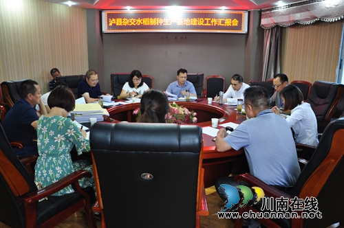 省农业厅检查泸县国家级水稻制种生产基地建设(图4)