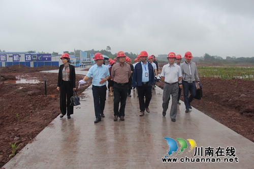 泸州市人大常委会到云龙镇调研空港建设发展项目(图3) 泸州市人大常委会到云龙镇调研空港建设发展项目(图3)