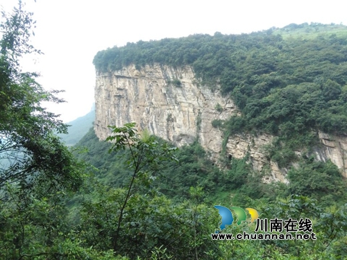 薛迅涛&nbsp;&nbsp;&nbsp;常忆那片青青的竹林(图3)