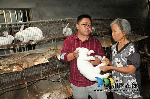 纳溪农民工陈强：“一条龙”服务助农“摘帽”(图1)