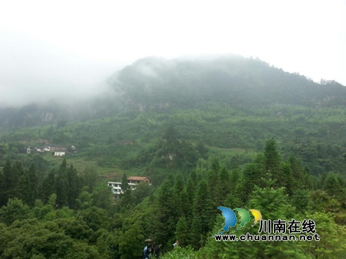 杨梅“红”了!一起相约“梅”丽福宝赏美景(图6) 杨梅“红”了!一起相约“梅”丽福宝赏美景(图6)