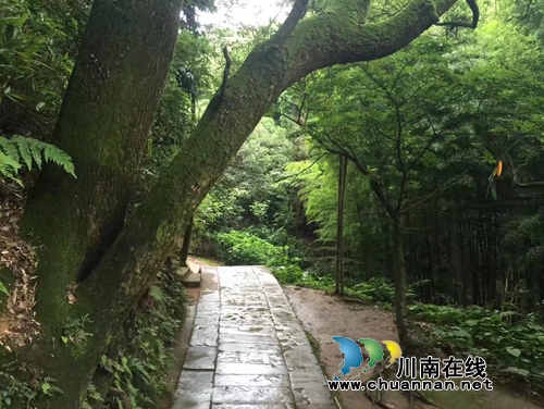 杨雪:云烟水拍江门峡(图2) 杨雪:云烟水拍江门峡(图2)