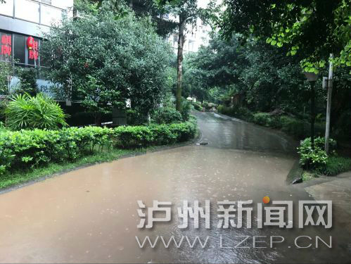 泸州暴雨橙色预警:3小时降雨量将达50毫米(图11) 泸州暴雨橙色预警:3小时降雨量将达50毫米(图11)