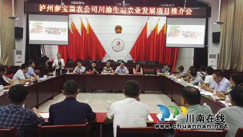合江县参宝镇举办川渝生态农业发展项目推介会