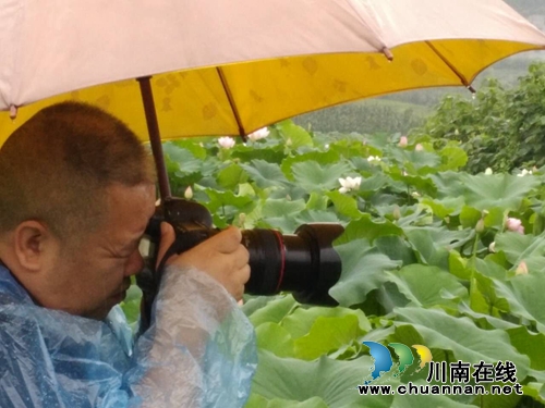 泸州泰安:这里不仅能赏花拍照 还能挣大钱(图11) 泸州泰安:这里不仅能赏花拍照 还能挣大钱(图11)