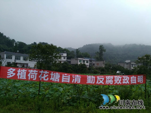 泸州泰安:这里不仅能赏花拍照 还能挣大钱(图3) 泸州泰安:这里不仅能赏花拍照 还能挣大钱(图3)
