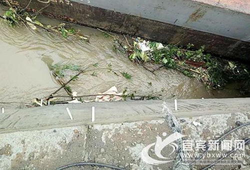 宜宾：市民河沟看到一只手&nbsp;吓出冷汗赶紧报警