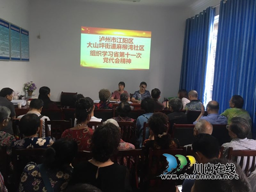 大山坪麻柳湾社区开展系列庆“七一”活动(图2) 大山坪麻柳湾社区开展系列庆“七一”活动(图2)