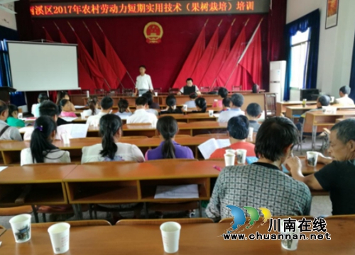 宜宾大观镇：举办果树栽培技术培训班
